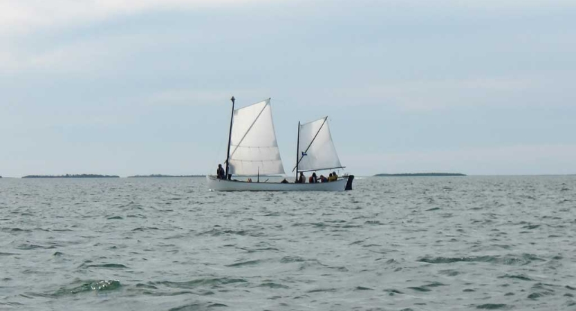 From a distance, a sailboat with white sails floats on water under a gray-blue sky.